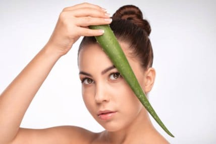 Aloe Vera for Hair