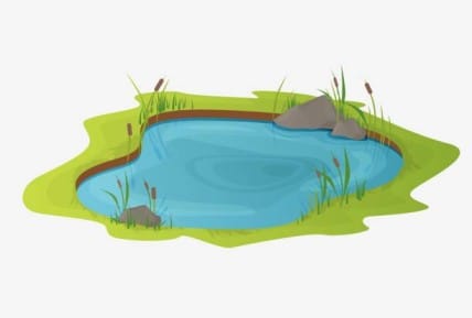 pond drawing